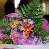 DSC_0777 (800x532).jpg