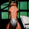 4 kon 115 x 90.jpg